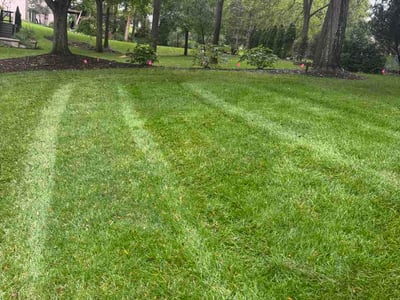 Lawn Care service in Dublin, 43017
