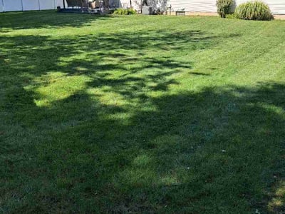 Lawn Care service in Medina, 44256