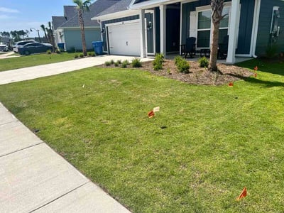 Lawn Care service in Panama City Beach, 32408