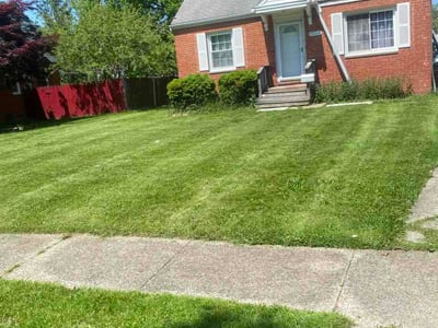 Lawn Care service in Rocky River, 44116