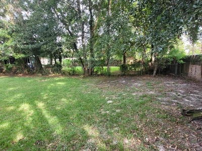 Leaf Removal service in Metairie, 70001