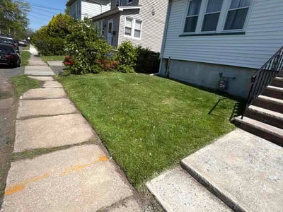 Lawn Care service in Livingston, 07039
