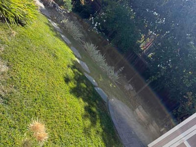 Lawn Care service in Richmond, 94801