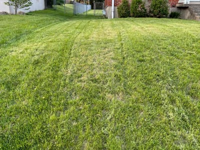 Lawn Care service in Norwood, 45212