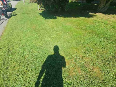 Lawn Care service in Groton, 06340