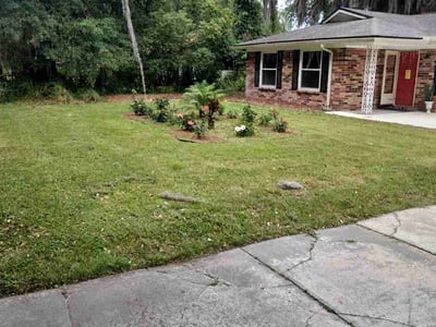 Lawn Care service in Monterey, 93940