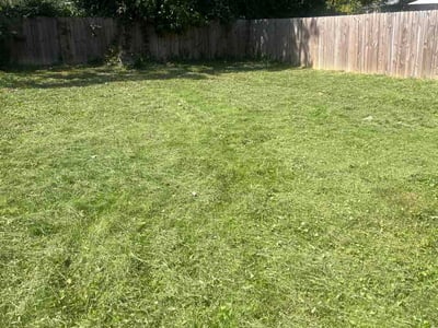 Lawn Care service in West Chester, 45069