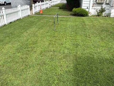 Lawn Care service in Long Island City, 11101