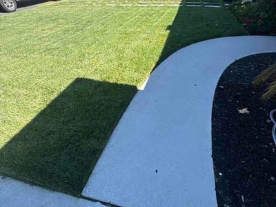 Lawn Care service in Alameda, 94501