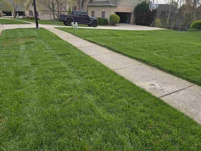 Lawn Care service in Wildwood, 08260
