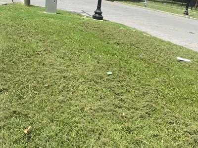Lawn Care service in Long Island City, 11101