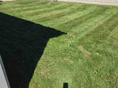 Lawn Care service in Milford, 45150