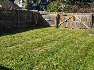 Lawn Care service in Milford, 45150