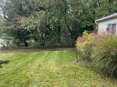 Lawn Care service in Elmhurst, 11373