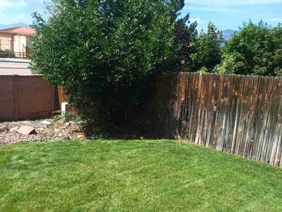 Lawn Care service in Elmhurst, 11373