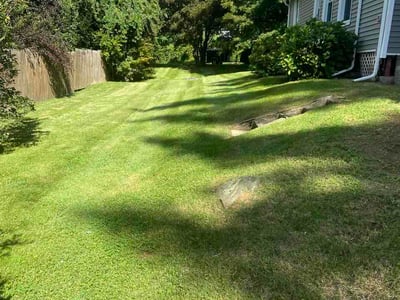 Lawn Care service in Norwich, 06360