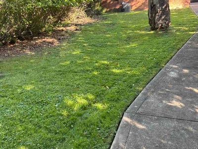 Lawn Care service in Euclid, 44123