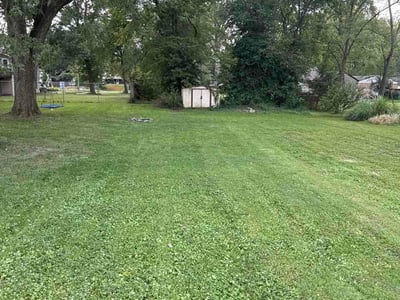 Lawn Care service in Independence, 41051