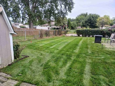 Lawn Care service in Evergreen Park, 60805