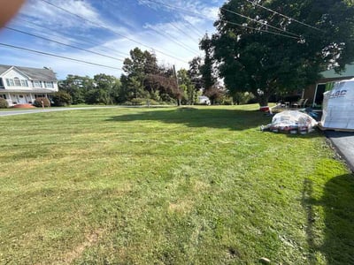 Lawn Care service in Hollis, 11423