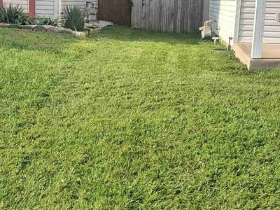 Lawn Care service in Newark, 43055