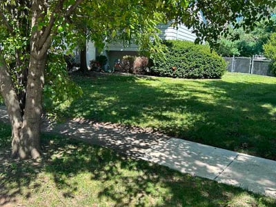 Lawn Care service in Newark, 43055