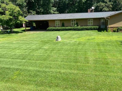 Lawn Care service in Randleman, 27317