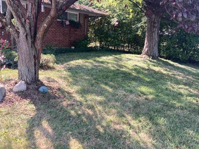 Lawn Care service in Medford, 08055