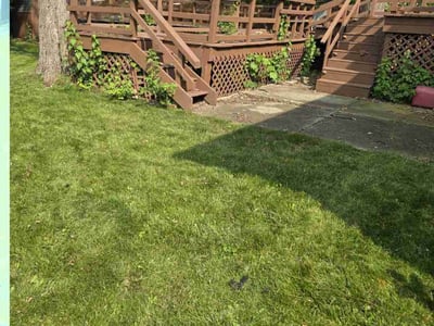 Lawn Care service in Lombard, 60148