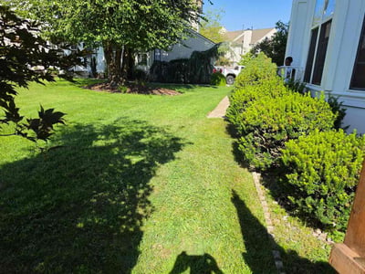 Lawn Care service in Marlton, 08053