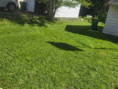 Lawn Care service in Maple Heights, 44137