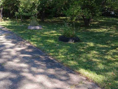 Lawn Care service in South Richmond Hill, 11419