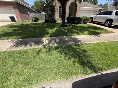 Lawn Care service in South Richmond Hill, 11419