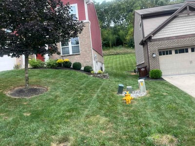 Lawn Care service in Burlington, 41005