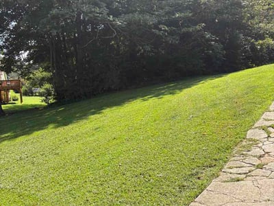 Lawn Care service in Point Pleasant Beach, 08742