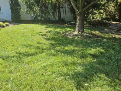 Lawn Care service in Hyde Park, 45208