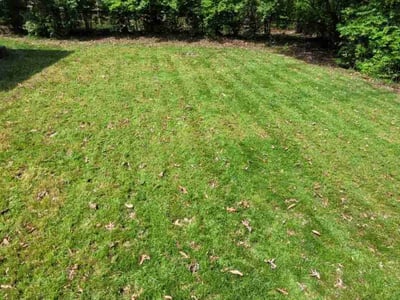Lawn Care service in Richmond Hill, 11418