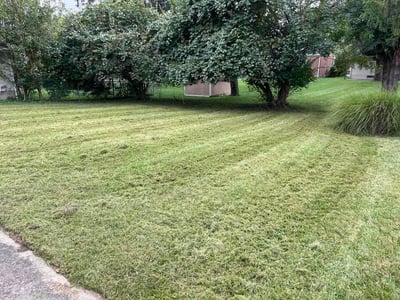 Lawn Care service in Hamilton, 45011