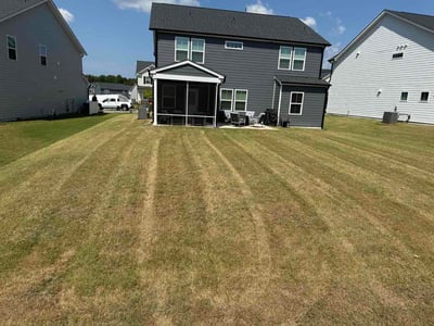 Lawn Care service in Piedmont Triad, 27523