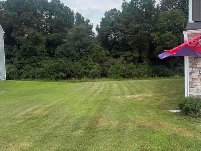 Lawn Care service in Zebulon, 27597