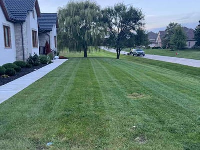 Lawn Care service in Crystal Lake, 60014