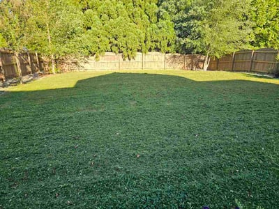 Lawn Care service in Youngsville, 27596