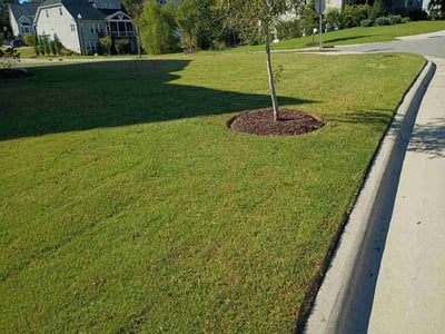 Lawn Care service in Holly Springs, 27540