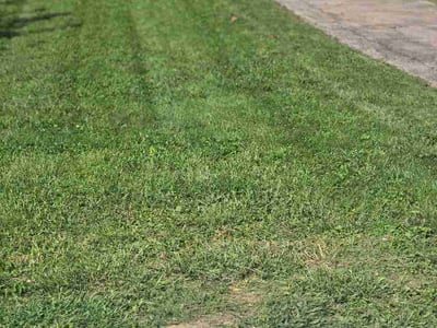 Lawn Care service in Batavia, 45103