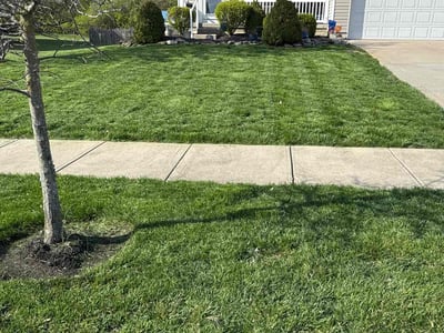 Lawn Care service in Batavia, 45103