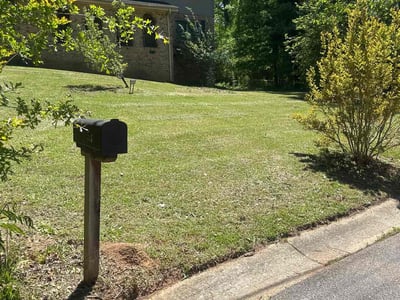 Lawn Care service in Englewood, 07631
