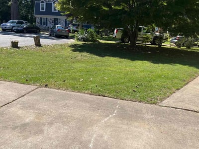 Lawn Care service in Englewood, 07631