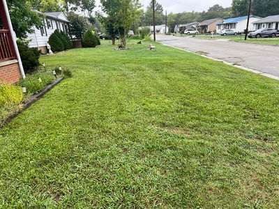 Lawn Care service in Roxboro, 27573