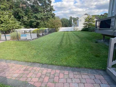 Lawn Care service in Jersey City, 07302