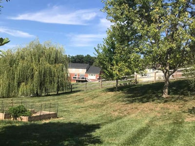 Lawn Care service in Cleves, 45002